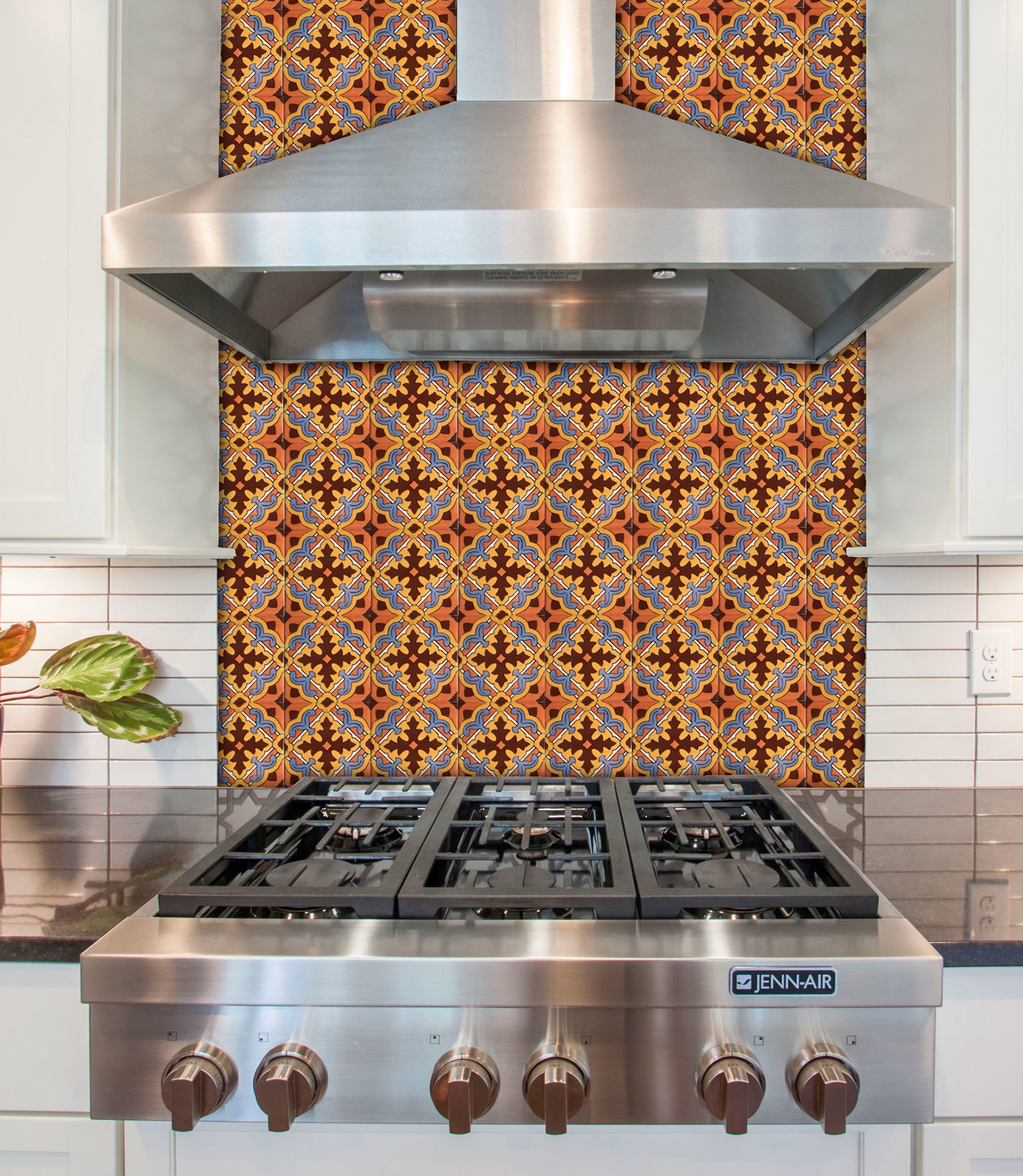 Mexican Talavera Tile - AMT 001 - Image 4